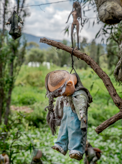 Cindy Vasko on the Island of Dolls