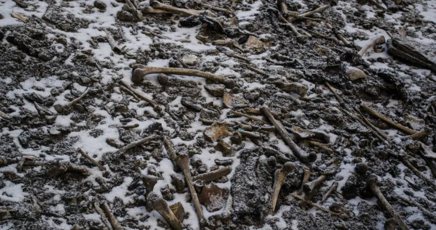 Skeletal remains after the ice melts are revealed.