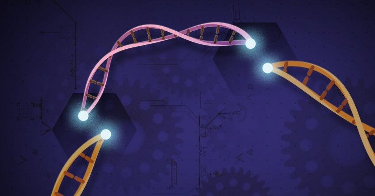 Illustration of DNA strands being edited with the CRISPR-Cas9 tool. The image features three segments of DNA, with one segment showing a break and the other two aligned to connect. The background is a dark blue with faint mechanical and circuit-like designs, symbolizing the technological aspect of gene editing