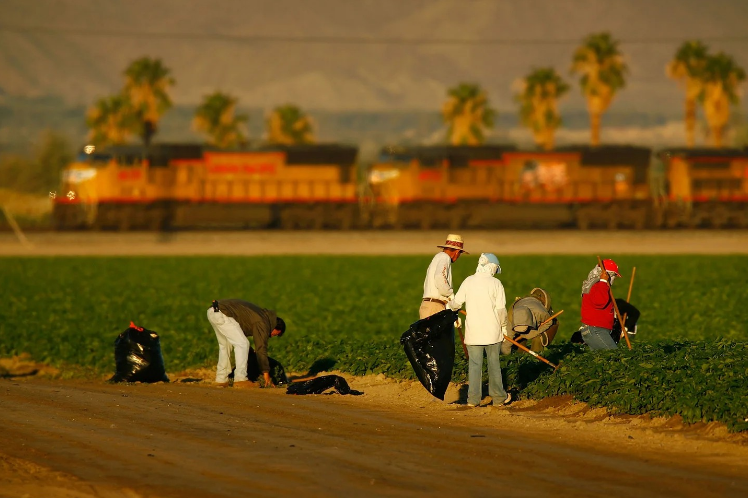 Farmers picking up trash