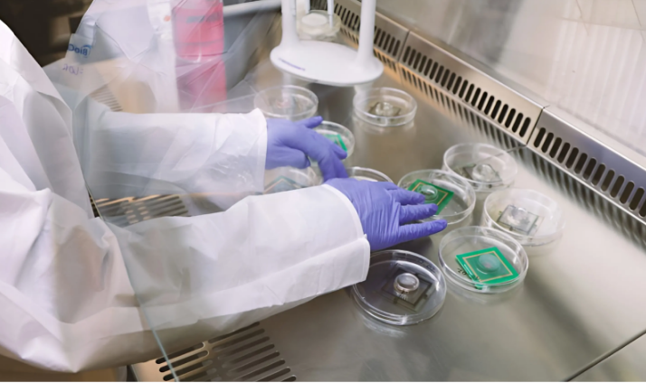 Each biochips must be kept in a nutrient rich medium, in sterile conditions and in perfect temperature
