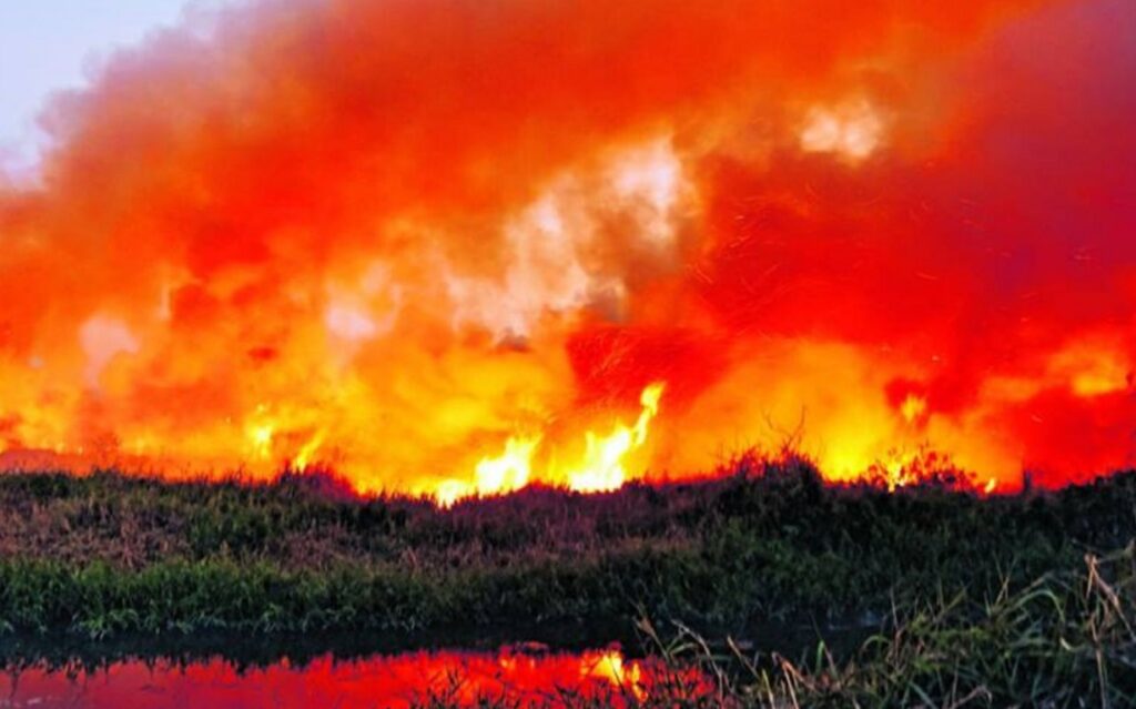 Fire at Bellandur Lake 