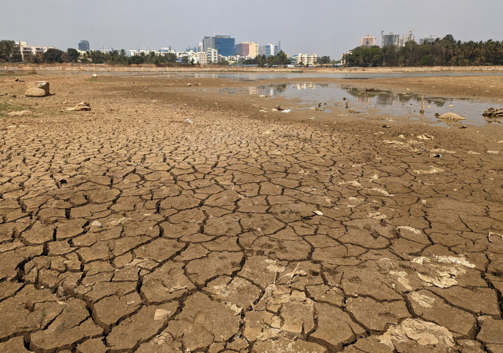 Parched banks of Nallurahalli Lake. February 21, 2024. REUTERS/Euan Rocha